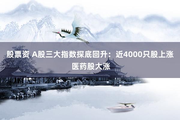 股票资 A股三大指数探底回升:近4000只股上涨 医药股大涨