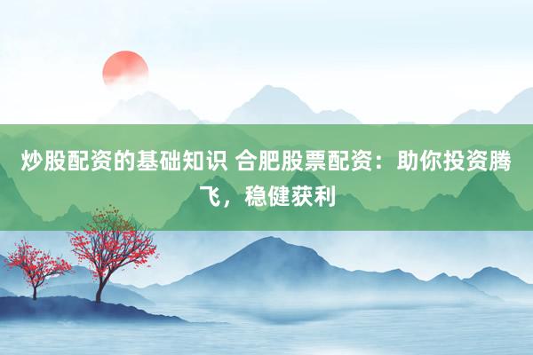 炒股配资的基础知识 合肥股票配资:助你投资腾飞,稳健获利