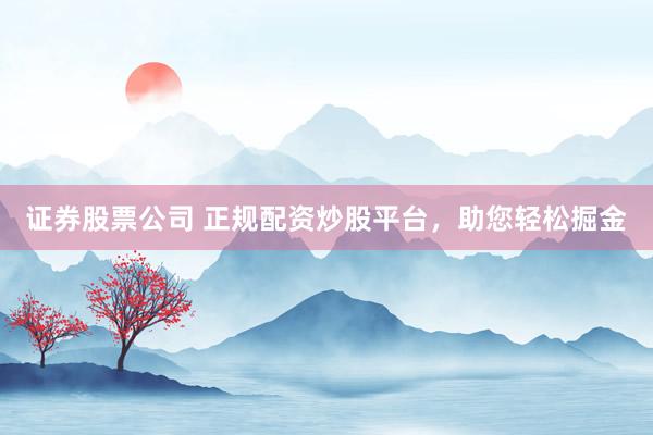 证券股票公司 正规配资炒股平台,助您轻松掘金