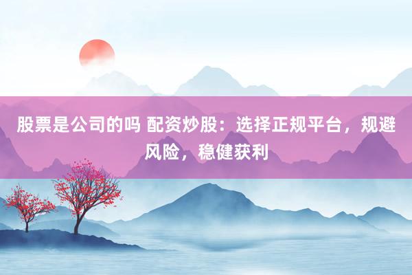 股票是公司的吗 配资炒股：选择正规平台，规避风险，稳健获利