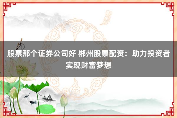股票那个证券公司好 郴州股票配资:助力投资者实现财富梦想